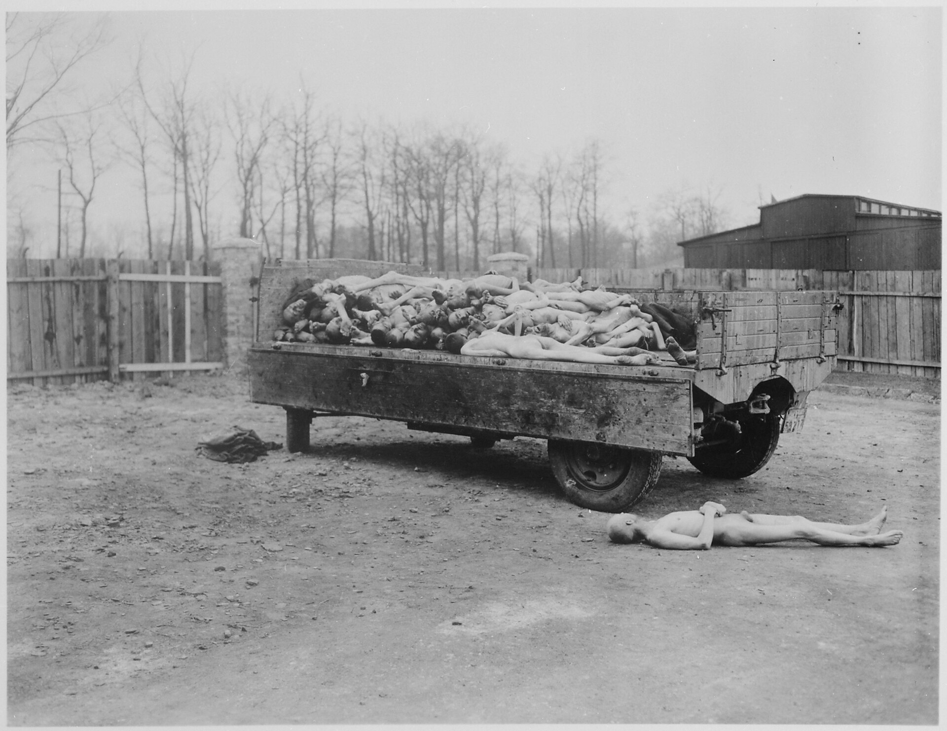 Camión cargado con cuerpos de prisioneros en Buchenwald, abril de 1945.
